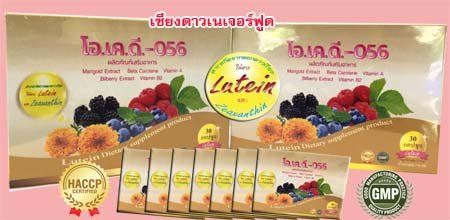 lutein ลูทีน บำรุงสายตา ถนอมสายตา